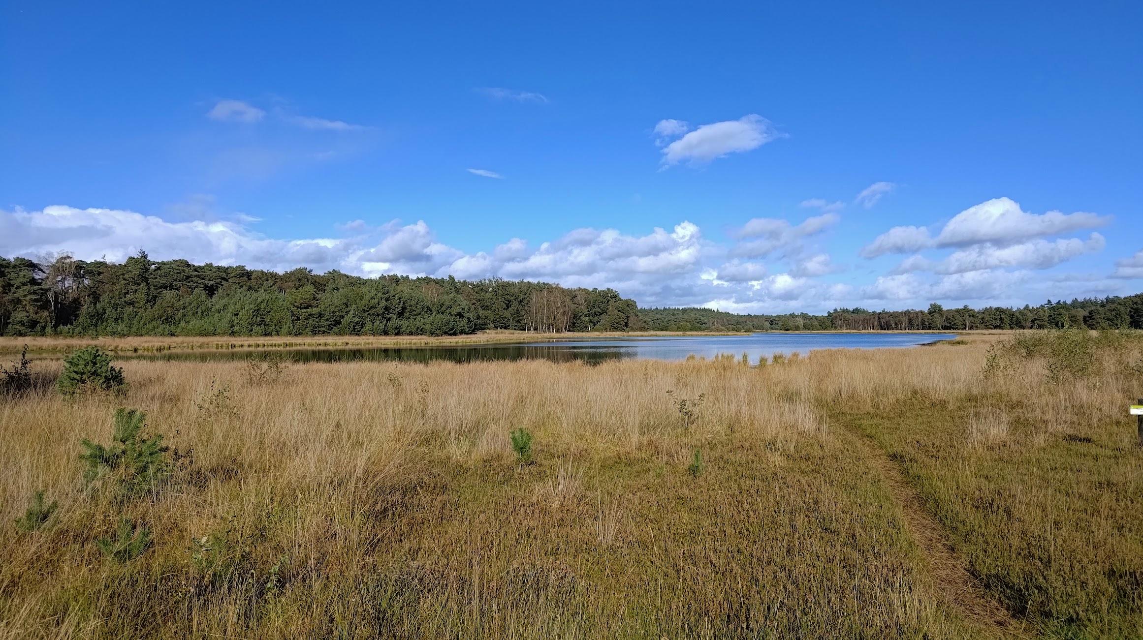 Lake amidst heath and grass